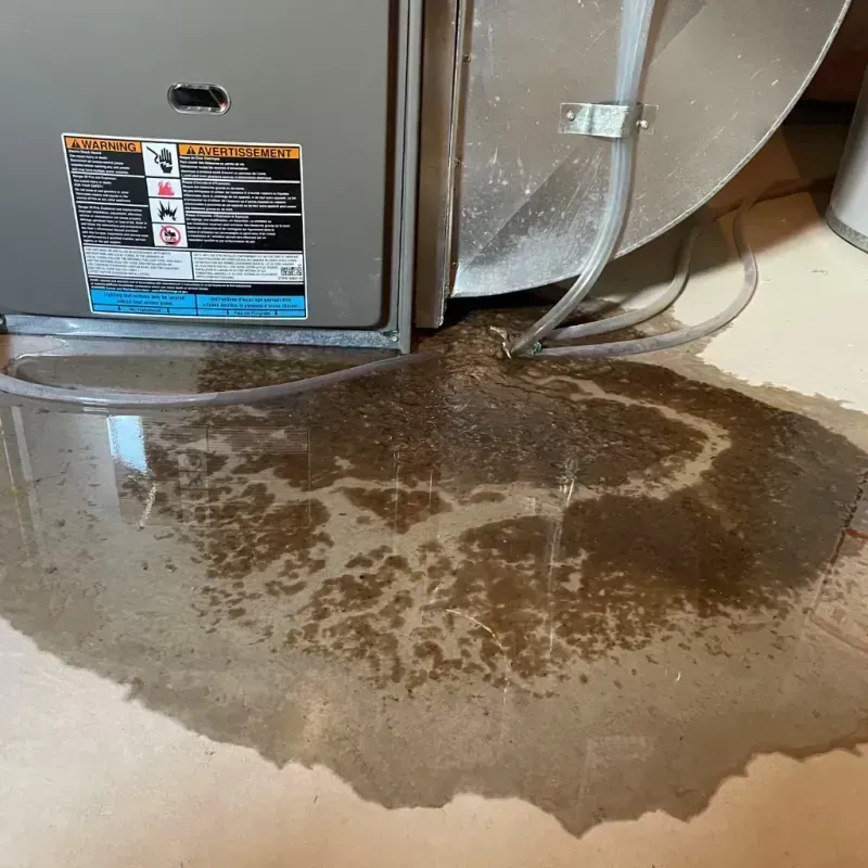 Appliance Leak Cleanup in Miller, SD